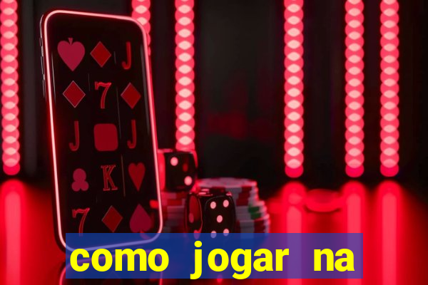 como jogar na lotinha do jogo do bicho